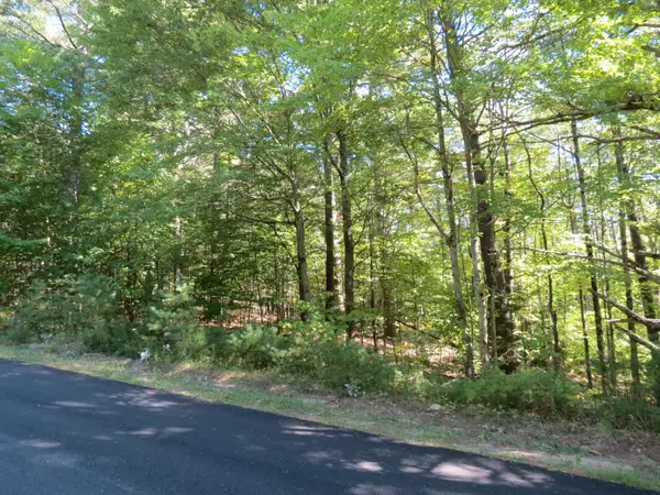 Lot 14 Indian Rock Road, Wilmington, NY 12997