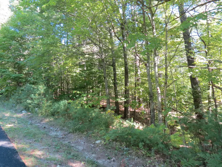 Lot 14 Indian Rock Road, Wilmington, NY 12997 - #2
