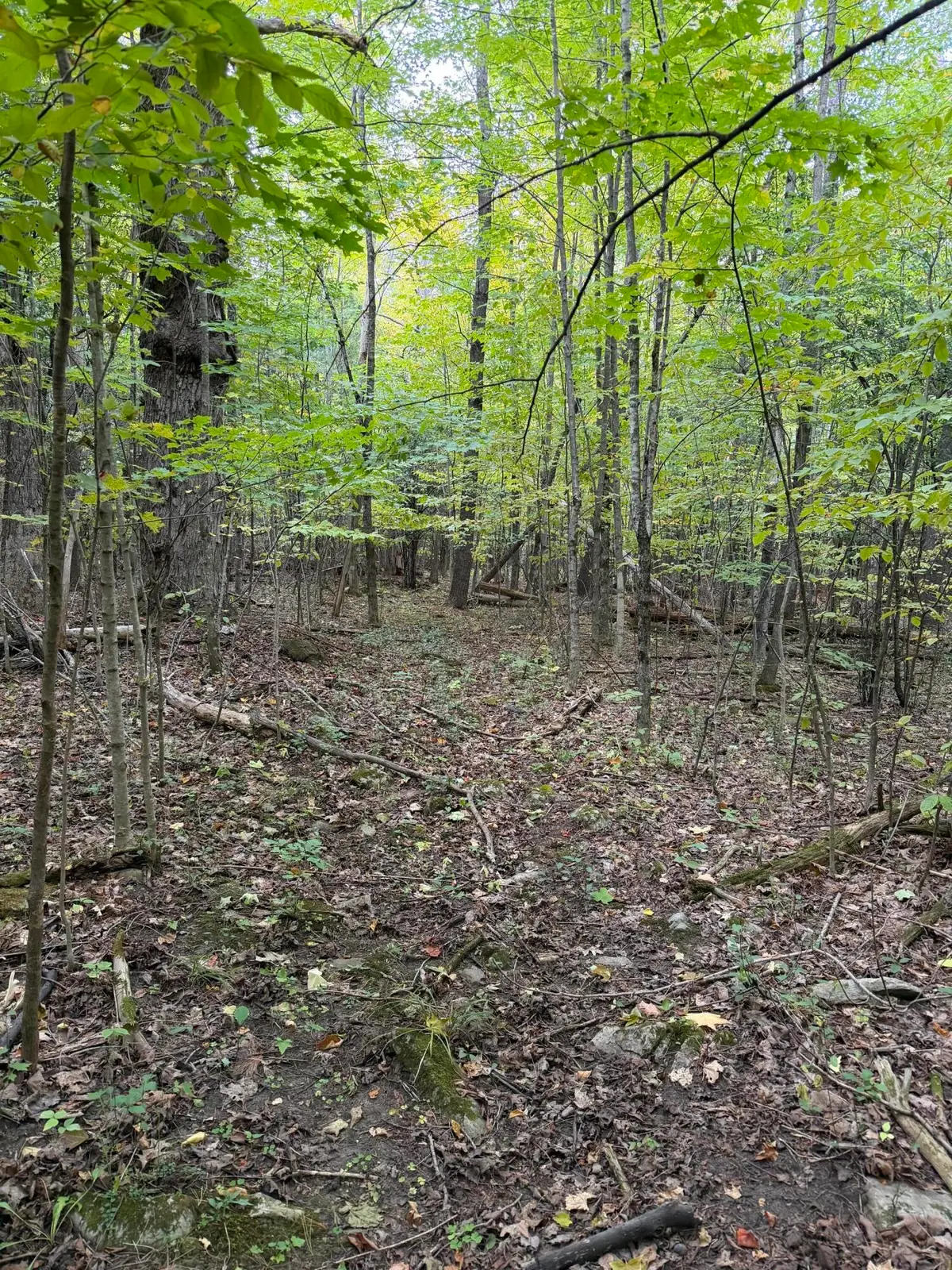 0 Jersey Swamp Road, Morrisonville, NY 12962 - #1