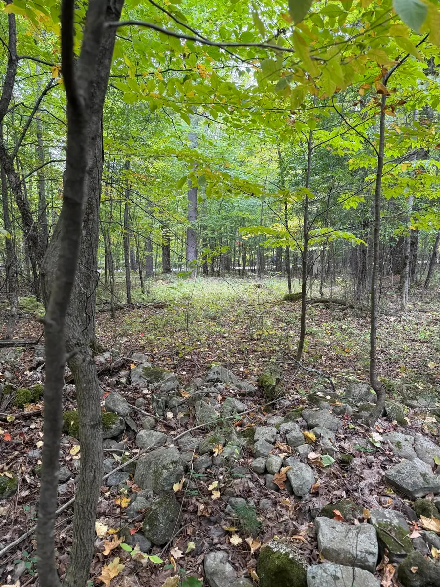 0 Jersey Swamp Road, Morrisonville, NY 12962 - #2