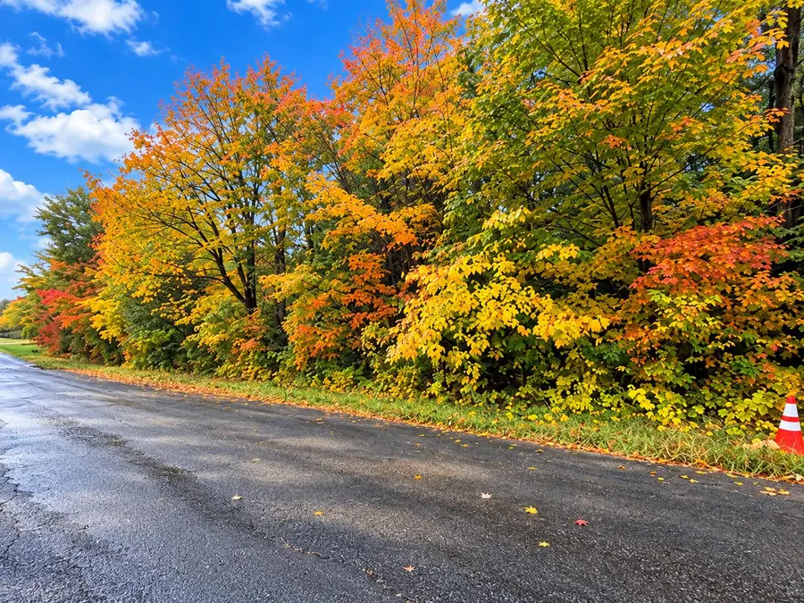 00 Eddy Road, Mooers, NY 12958 - #2