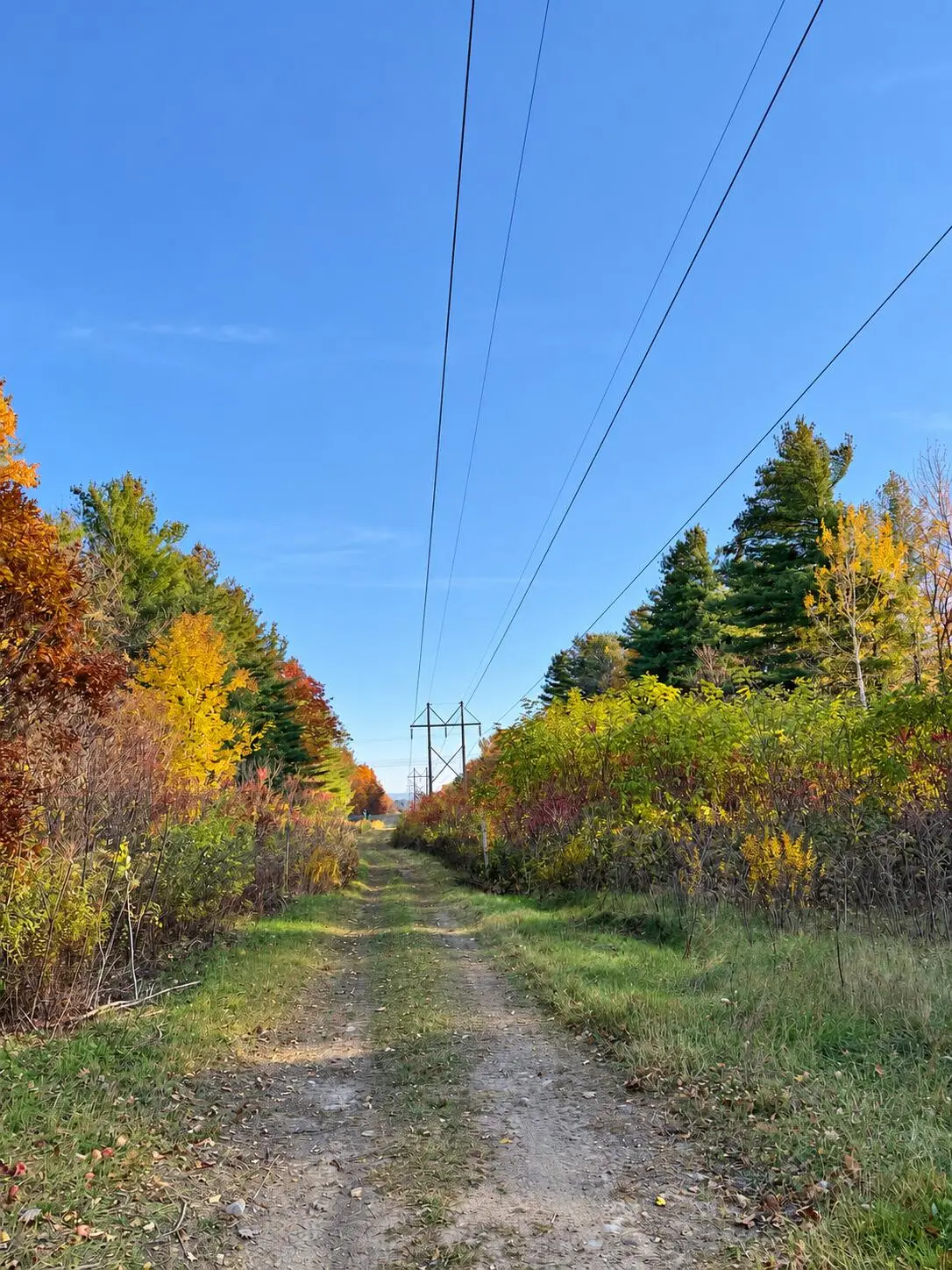 0 Seymour Road, West Chazy, NY 12992 - #1