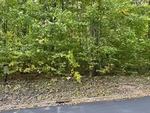 1005 Prescott Avenue, Endicott, NY 13760 - Image #1