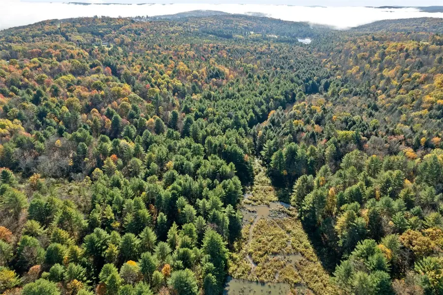 878 Cafferty Road, Harpursville, NY 13787 - Image #3