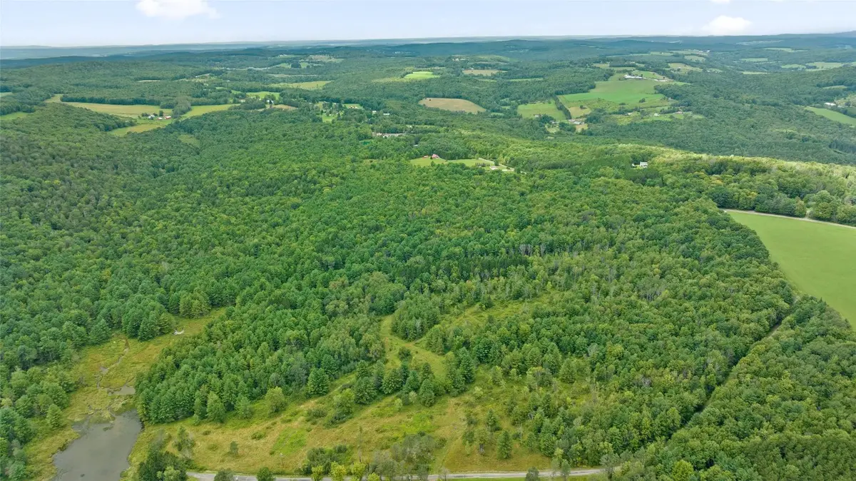 219 Martin Hill Road, Harpursville, NY 13787 - Image #1