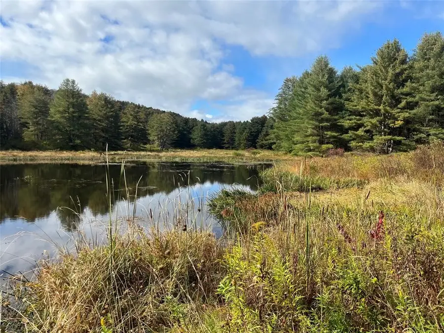 219 Martin Hill Road, Harpursville, NY 13787 - Image #3