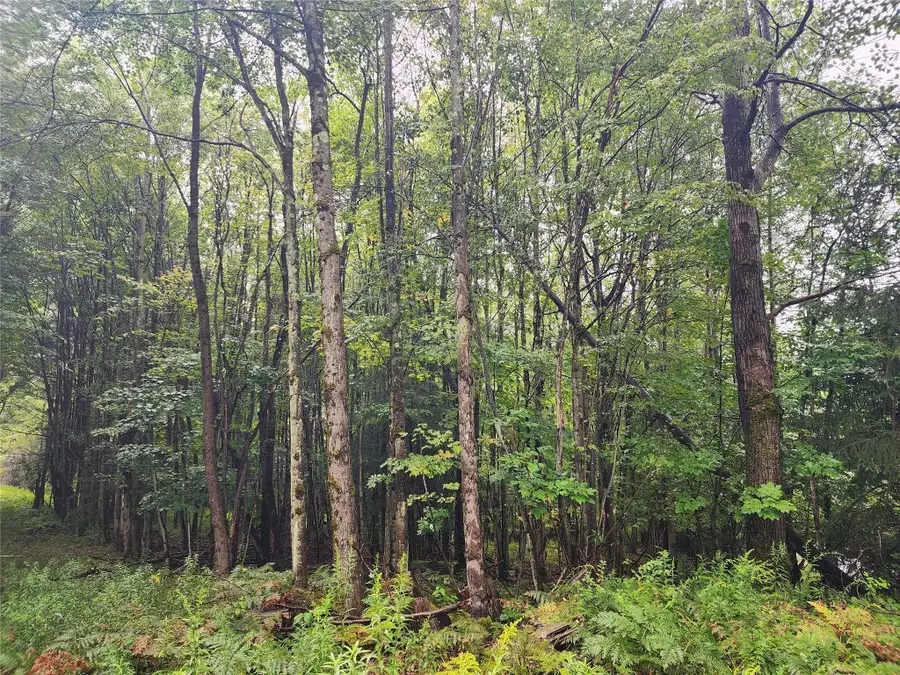 400 Sprague Road, Afton, NY 13730 - Image #2