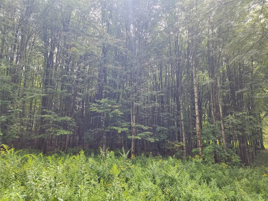 400 Sprague Road, Afton, NY 13730 - Image #3