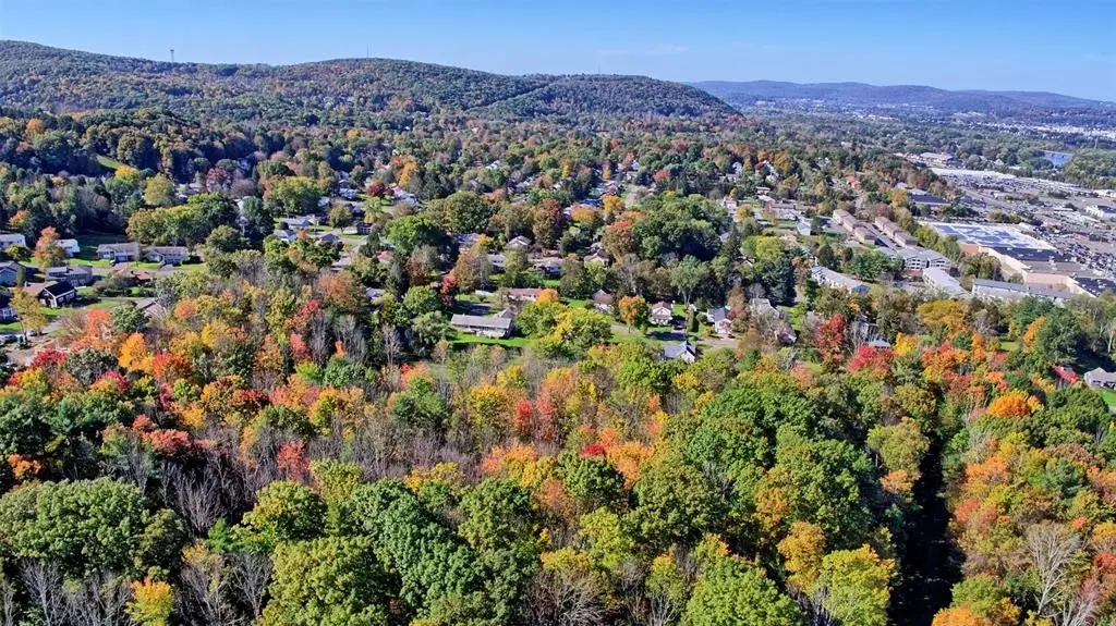 225 Southwood & 217 Jensen Drive, Vestal, NY 13850 - Image #1