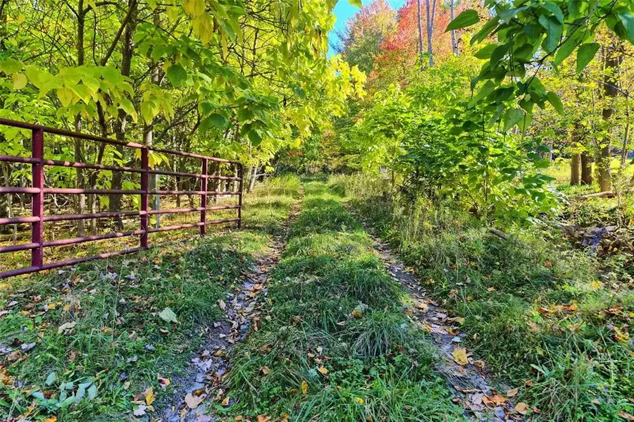 225 Southwood & 217 Jensen Drive, Vestal, NY 13850 - Image #2