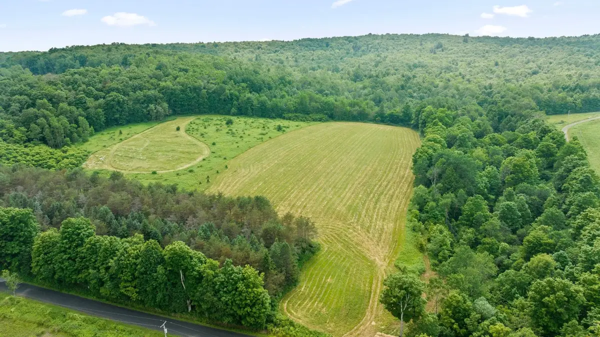 375 Ticknor Brook Road, Whitney Point, NY 13862 - Image #1