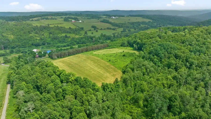 375 Ticknor Brook Road, Whitney Point, NY 13862 - Image #2