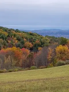 900 Town Line Rd, Johnson City, NY 13790