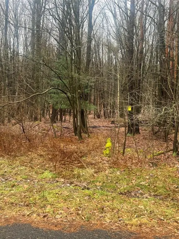 1992 Reservoir Street, Binghamton, NY 13903