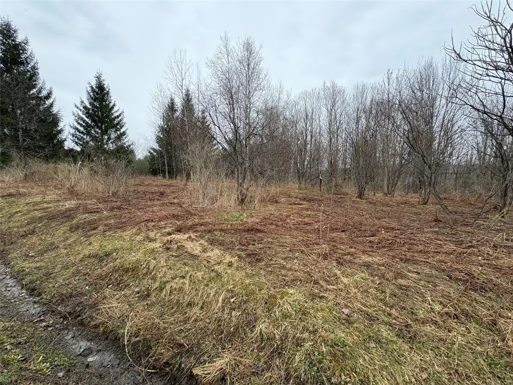 0 Pritchard Road, Plainfield, NY 13491 - Image #1