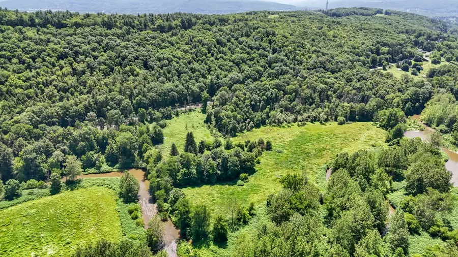 1517 Nanticoke Dr. Drive, Endicott, NY 13760 - Image #2