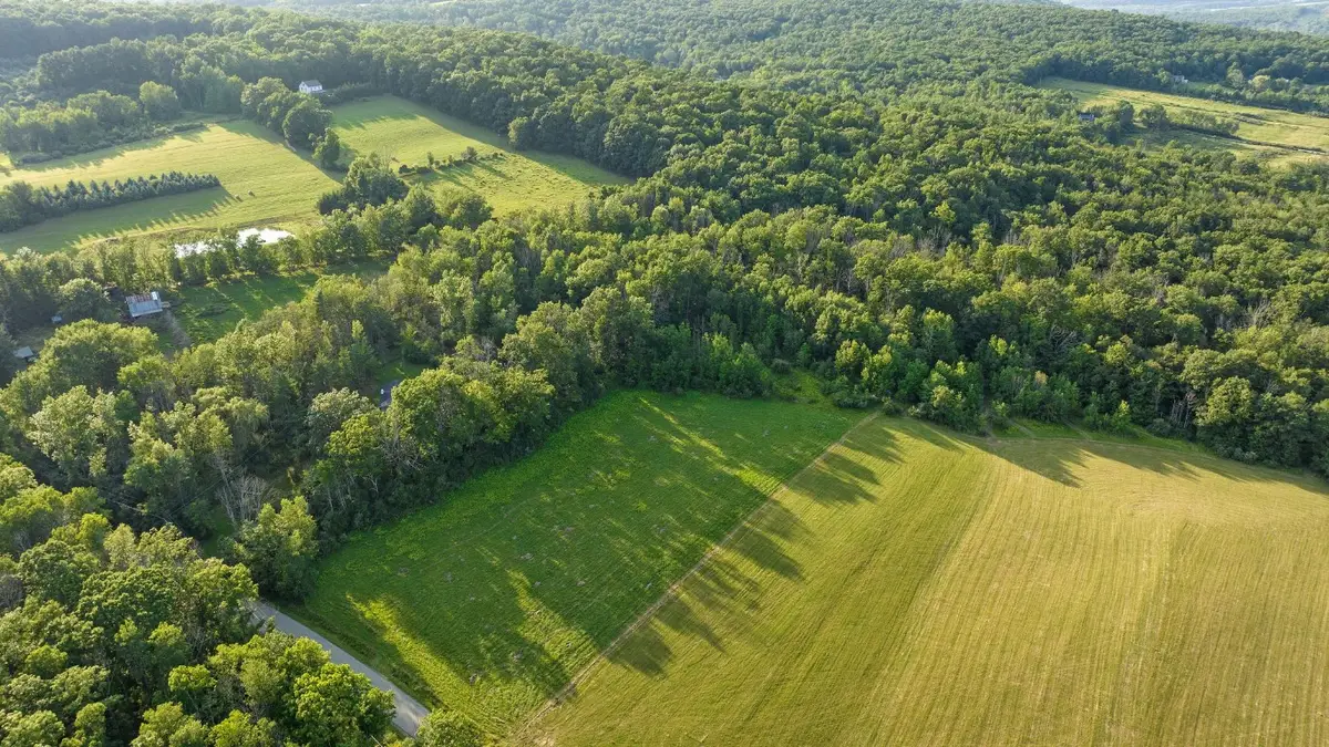 263 Mason Road, Vestal, NY 13850 - Image #1