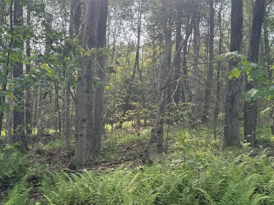 264 E Bosket Road, Windsor, NY 13865 - Image #2