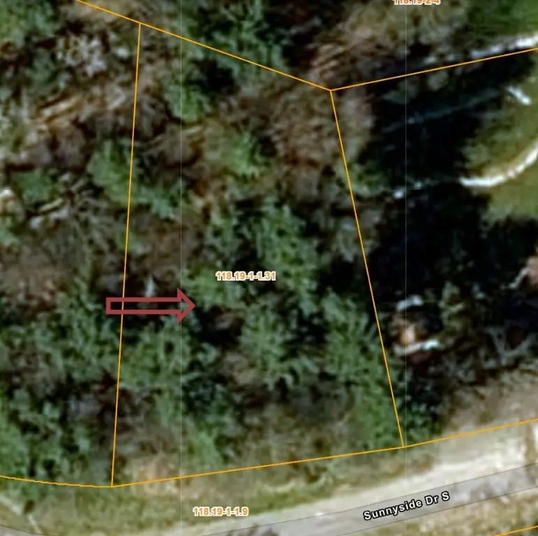 0 Sunnyside Drive South, Owego, NY 13827 - Image #1