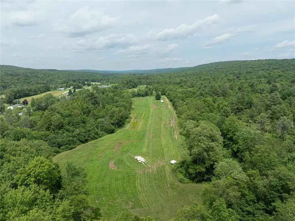 164 County Road 8, McDonough, NY 13801 - Image #1