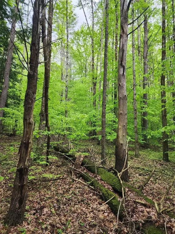 0 Race Road, Greene, NY 13778 - Image #2