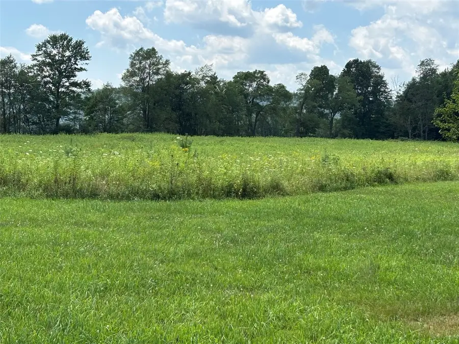 00 River Rd, Sidney Town, NY 13809 - Image #3