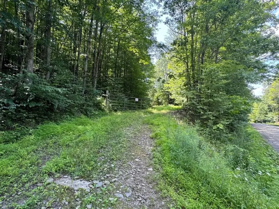 130 William Law Road, Windsor, NY 13865 - Image #3