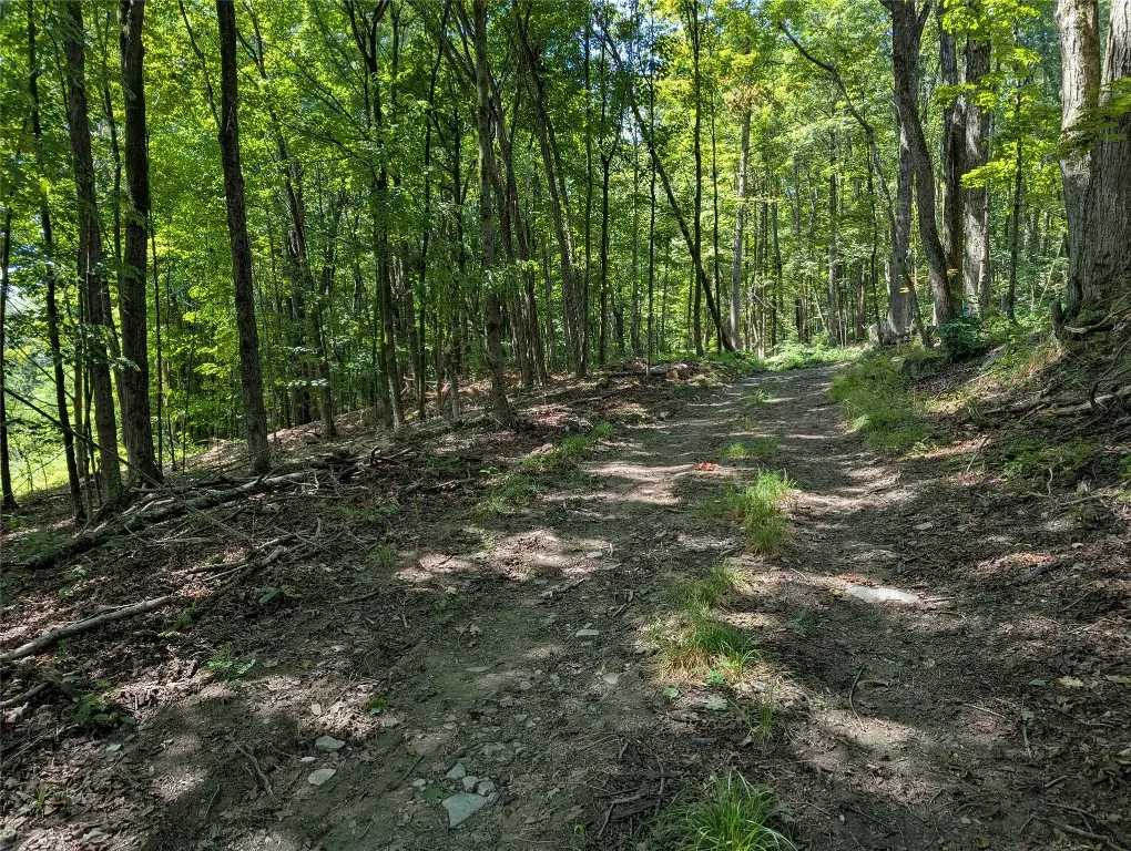 130 Brown Road, Kirkwood, NY 13795 - Image #1