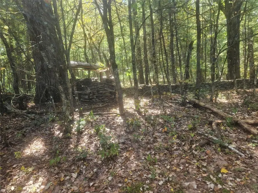 338 Madigan Road, Waverly, NY 14892 - Image #3