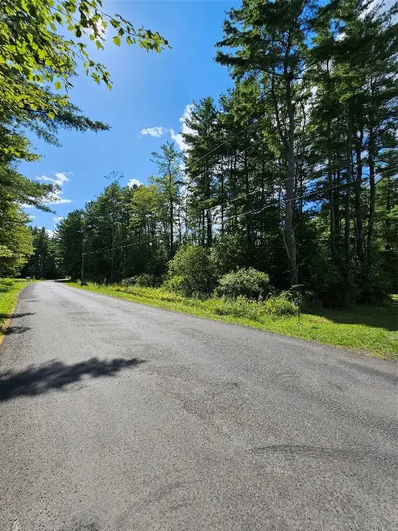 209 Mount Pleasant Road, Bainbridge, NY 13733