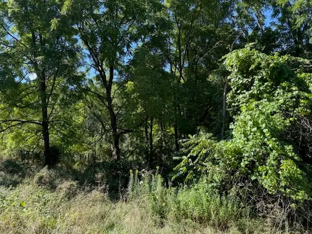 54 Evelien Hill Road, Owego, NY 13827 - Image #3