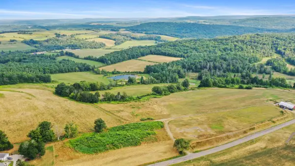 LOT 3 Waits Road, Owego, NY 13827