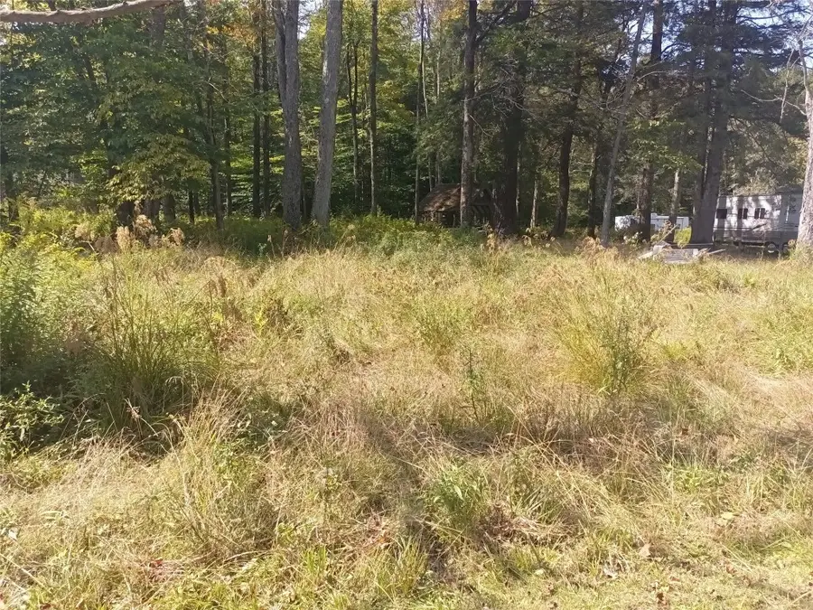 12 Wagon Wheel Road, Windsor, NY 13865 - Image #2