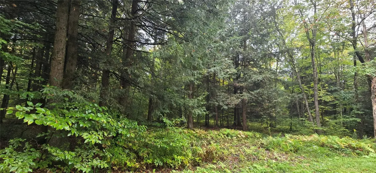 0 Sprague Road, Afton, NY 13730 - Image #1