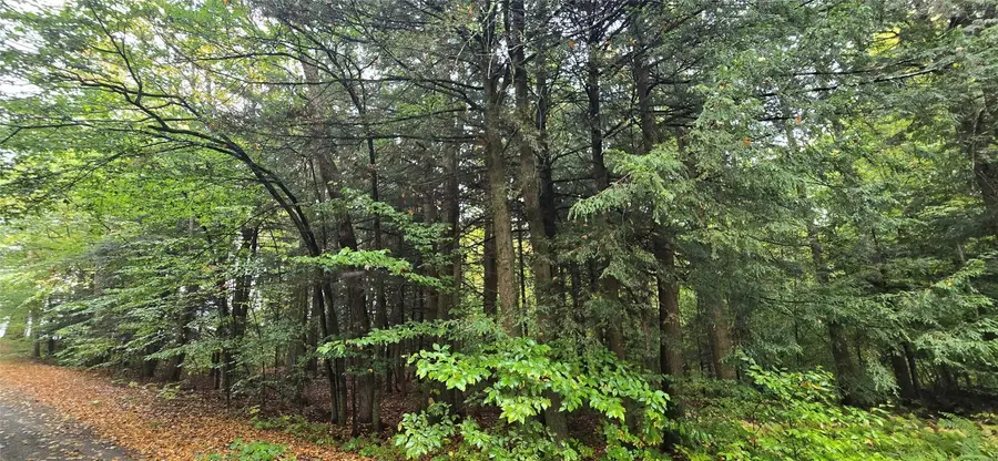 0 Sprague Road, Afton, NY 13730 - Image #3