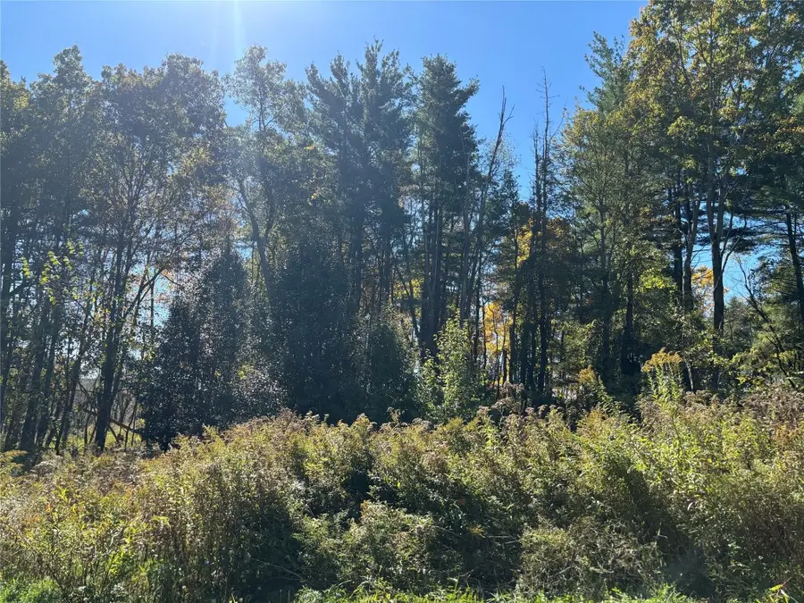 00 Sunnyside Drive S, Owego, NY 13827 - Image #2