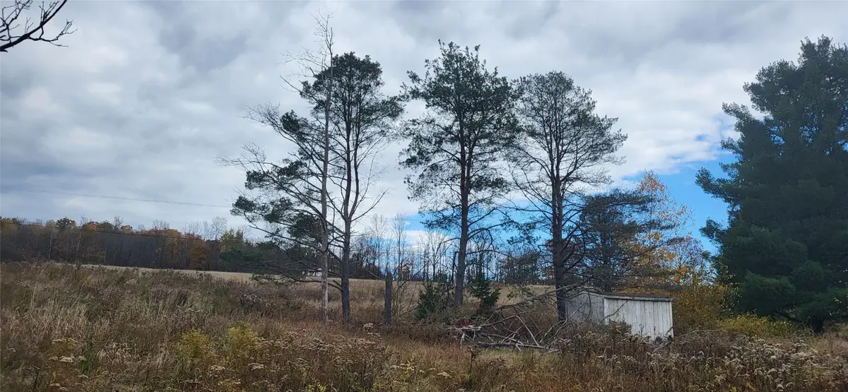 270 Lewis Street, Endicott, NY 13760 - Image #1