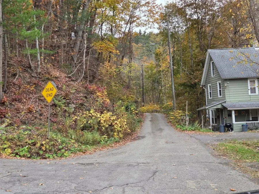 28 Bayless Avenue, Binghamton, NY 13903 - Image #2