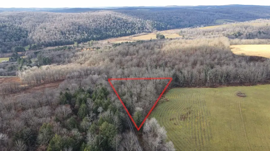 3655 Jordan Road, Cincinnatus, NY 13040 - Image #3