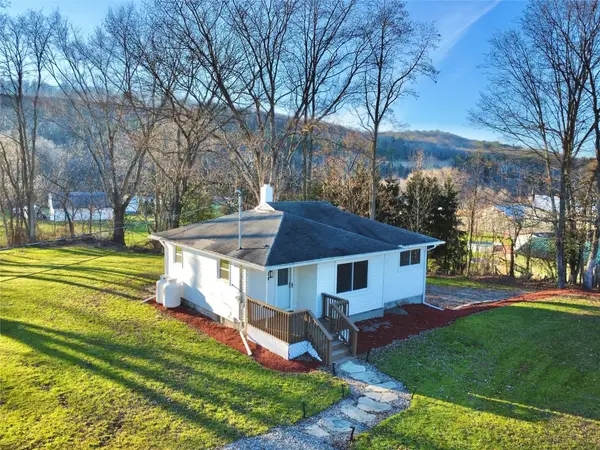 411 Halsey Valley Road, Barton, NY 13734