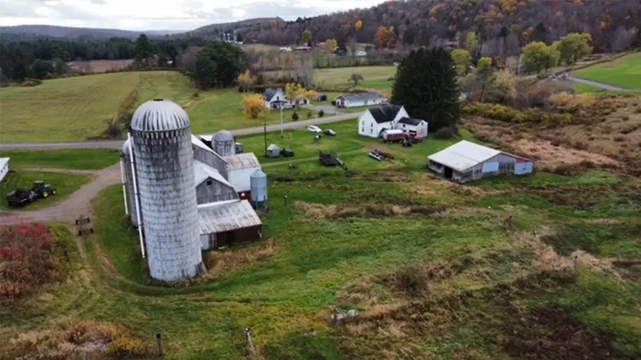 660 Straits Corners, Candor, NY 13743 - Image #3