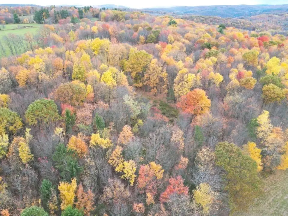 0 S State Route 167 Route, Brackney, PA 18812 - Image #1