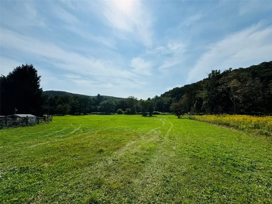 10-48 Evans Road, Hancock, NY 13783 - Image #2