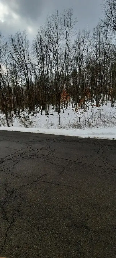 91 & 93 Skye Island Drive, Endicott, NY 13760