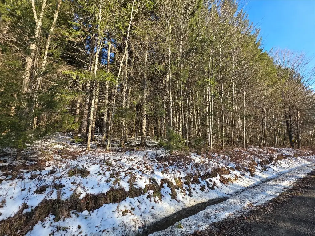 00 Lamb Road, Newark Valley, NY 13811 - Image #1