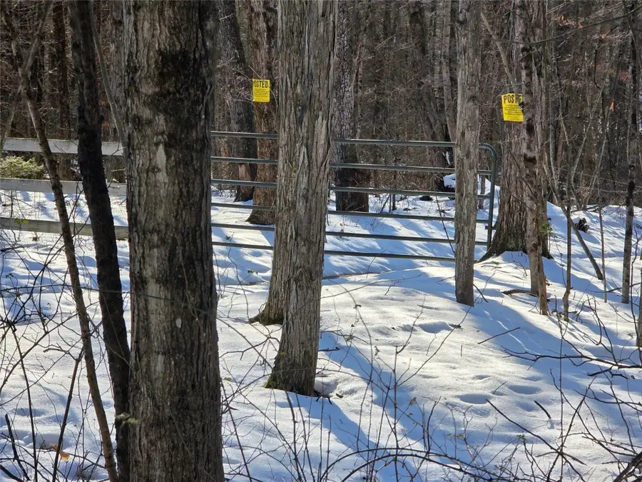 00 Lamb Road, Newark Valley, NY 13811 - Image #2