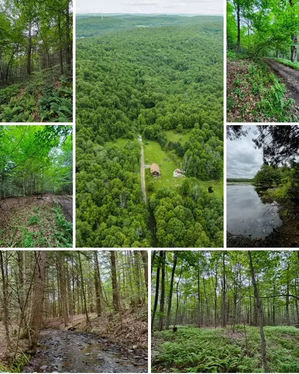 308 Tennent Road #4, Sanford, NY 13865