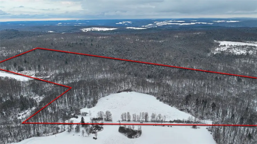 271 Beeman Hill Road, Triangle, NY 13778 - Image #3