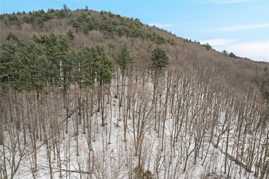 332 County Road 26, Cooperstown, NY 13326 - Image #2