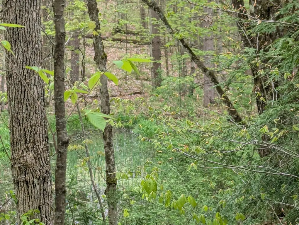 00 Union Hill Road, Candor, NY 13743 - Image #1